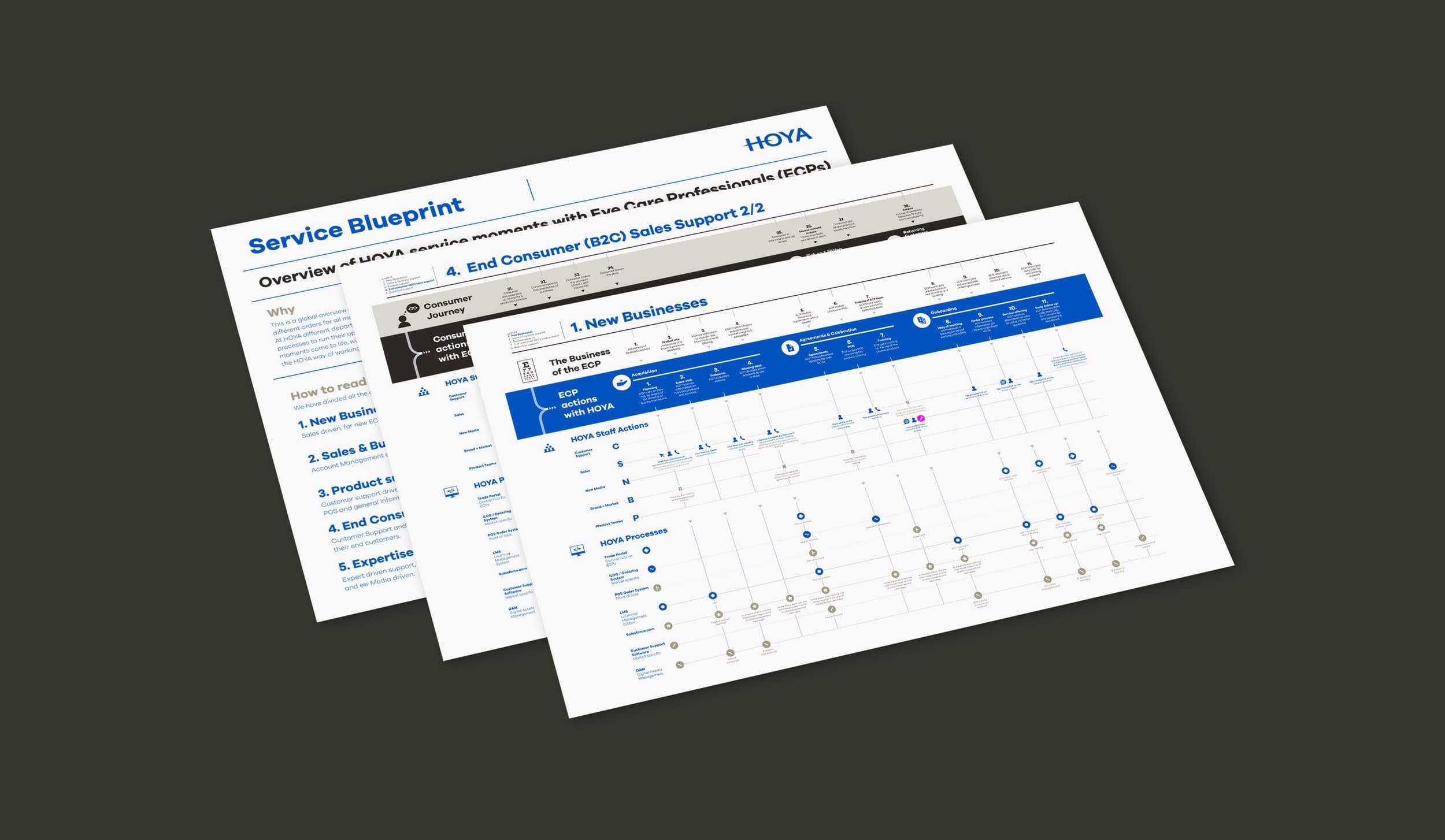 Mapping the customer and patient experience. content 1