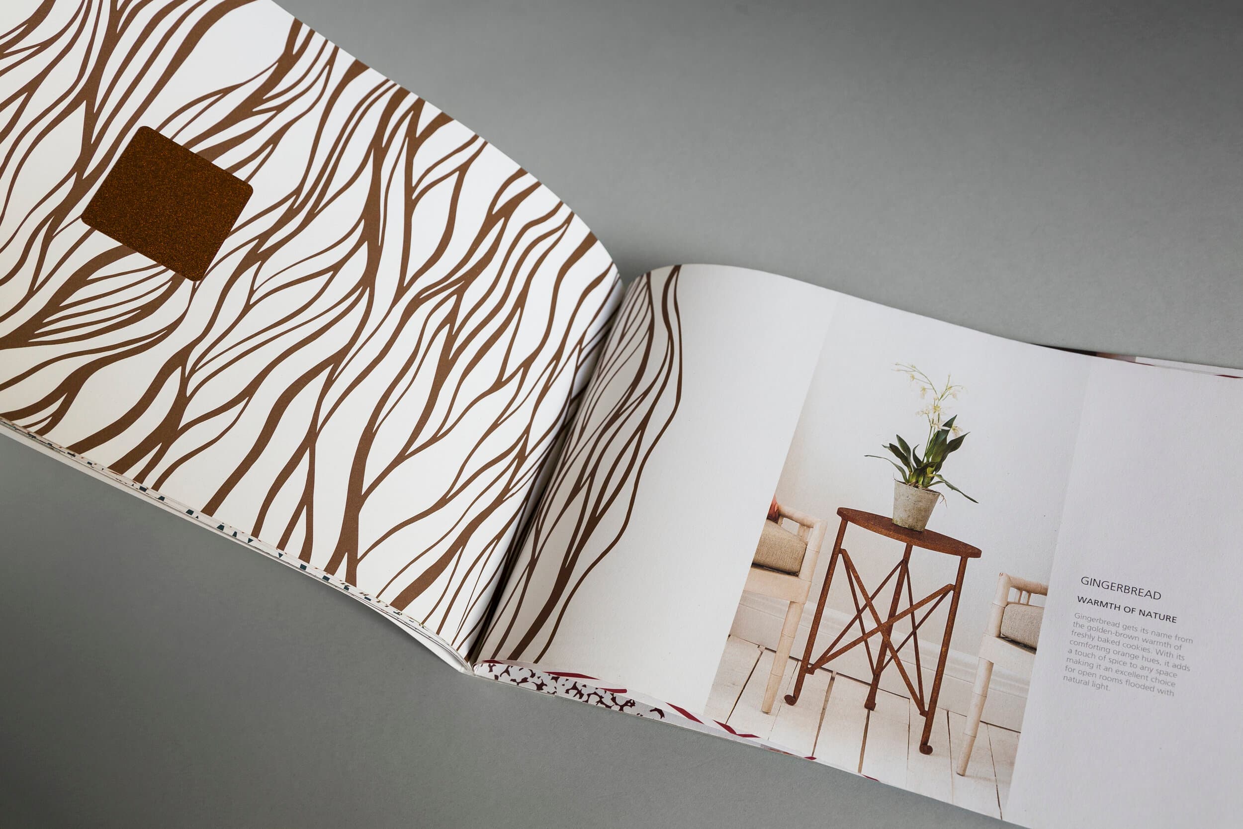Full width image