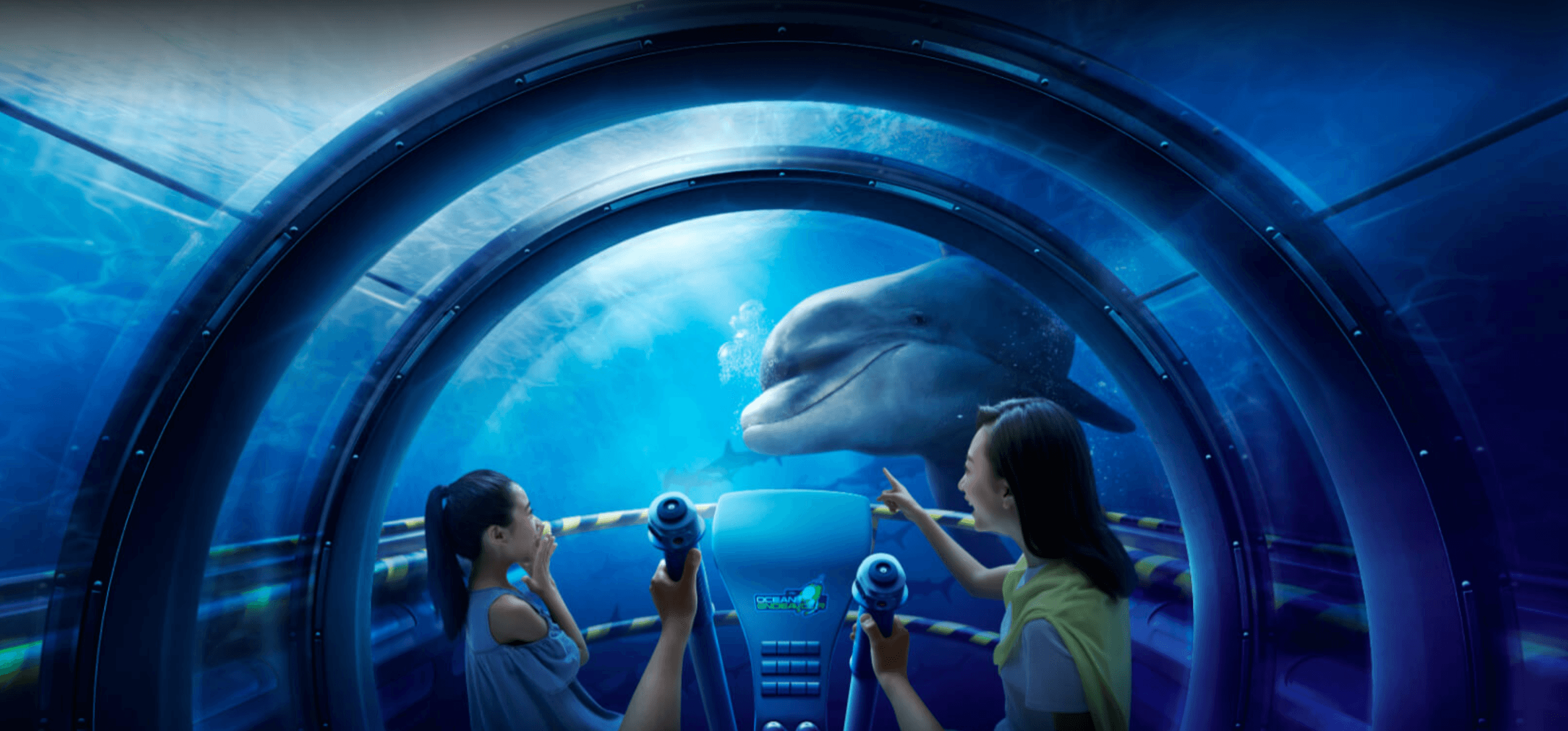 Creating a community of young explorers. image